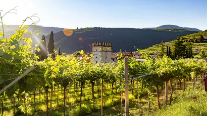 Montresor Hotel Palace: hotel a 4 stelle a Verona